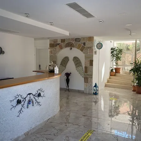 Alesya Hotel Ciftlikkoyu