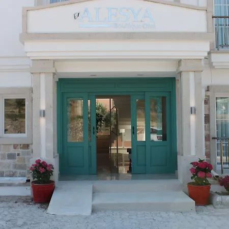 Hotel Alesya 4*