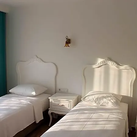 Alesya Hotel 4*