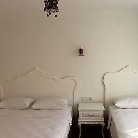 Hotell Alesya 4*