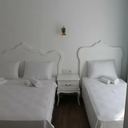 Hotel Alesya 4*
